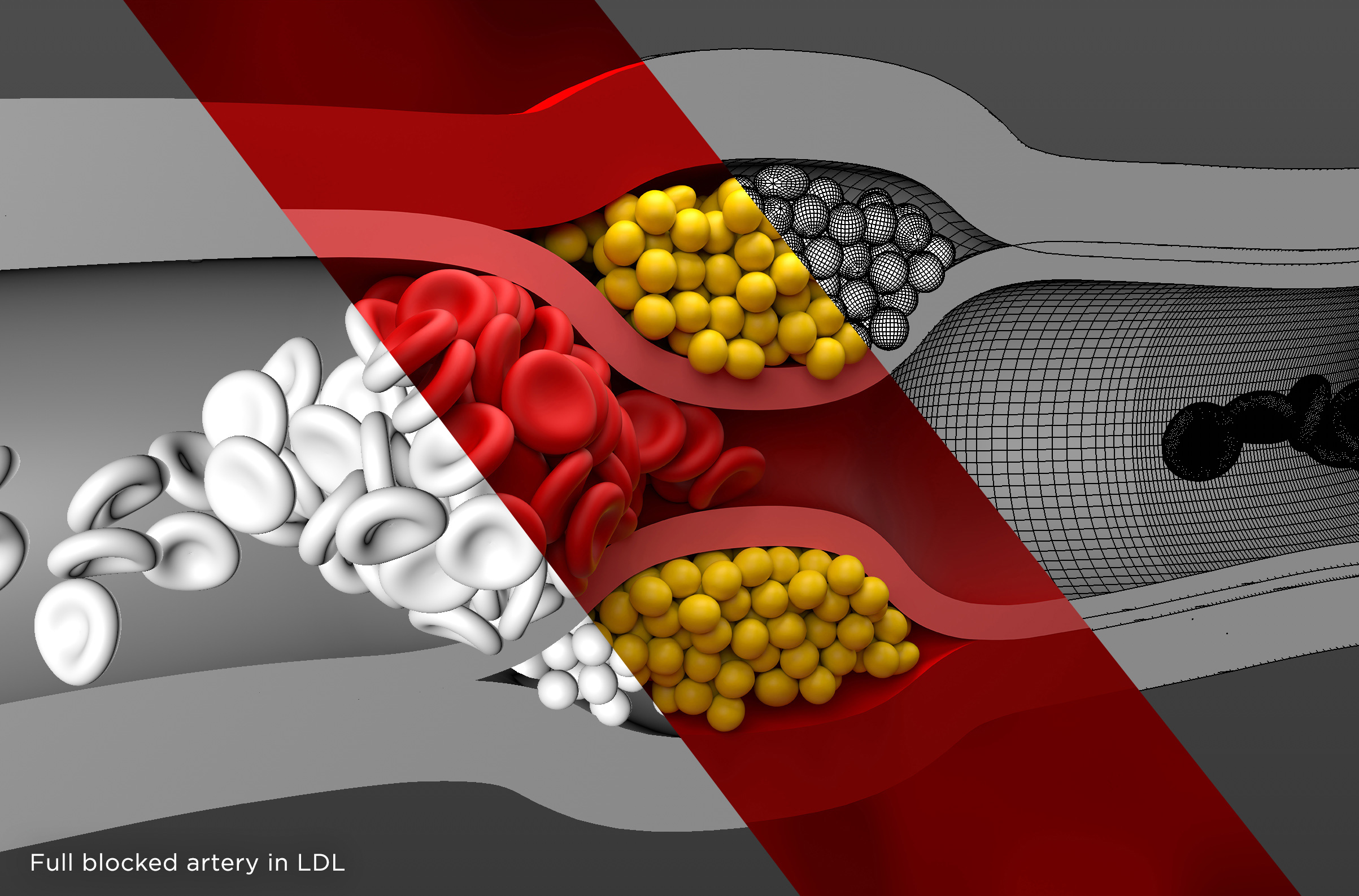 Orvosi illusztrációk