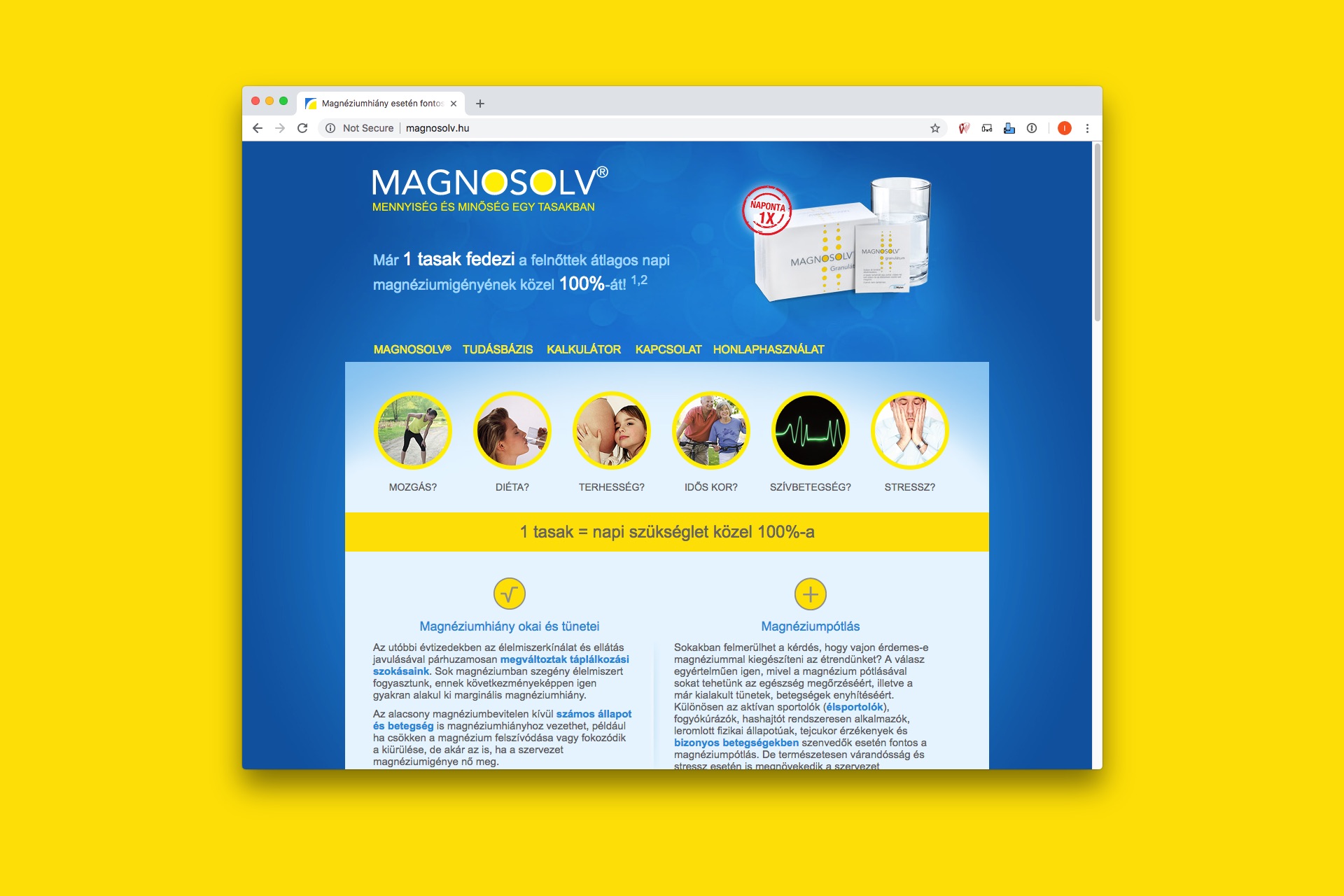 Magnosolv microsite