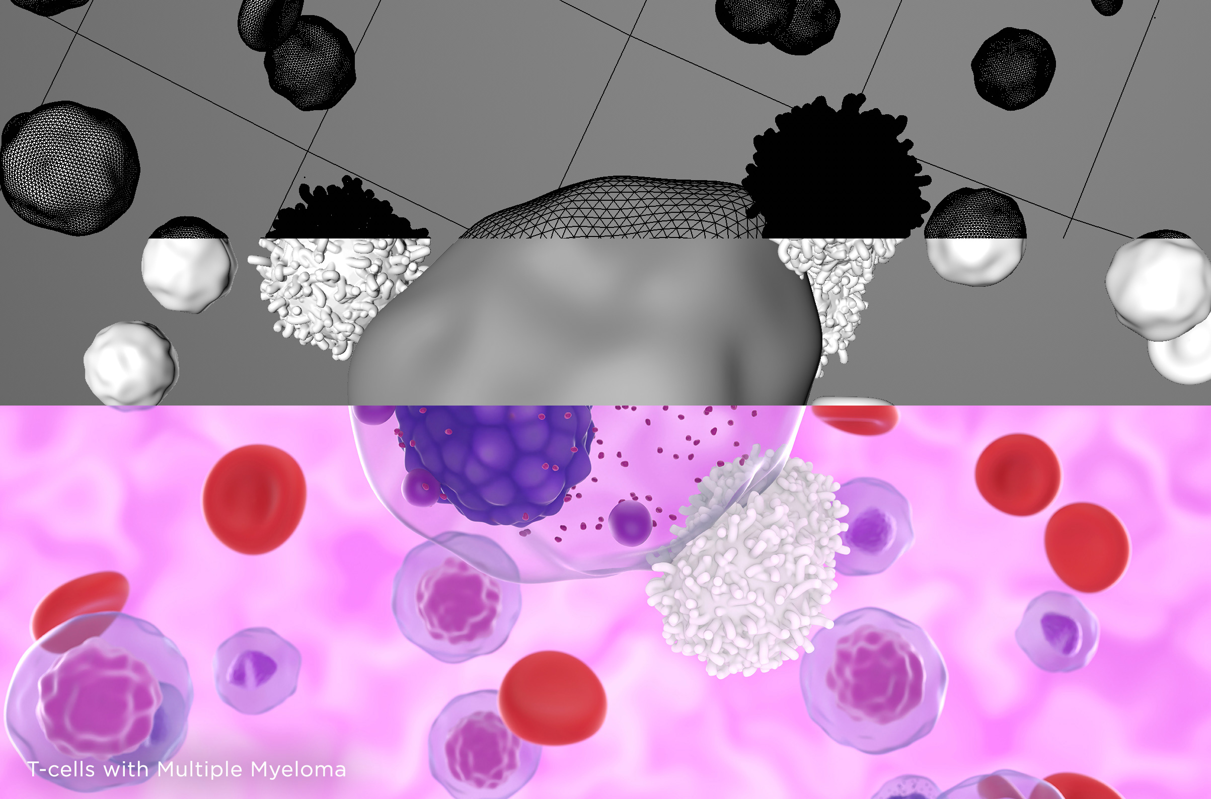 Orvosi illusztrációk