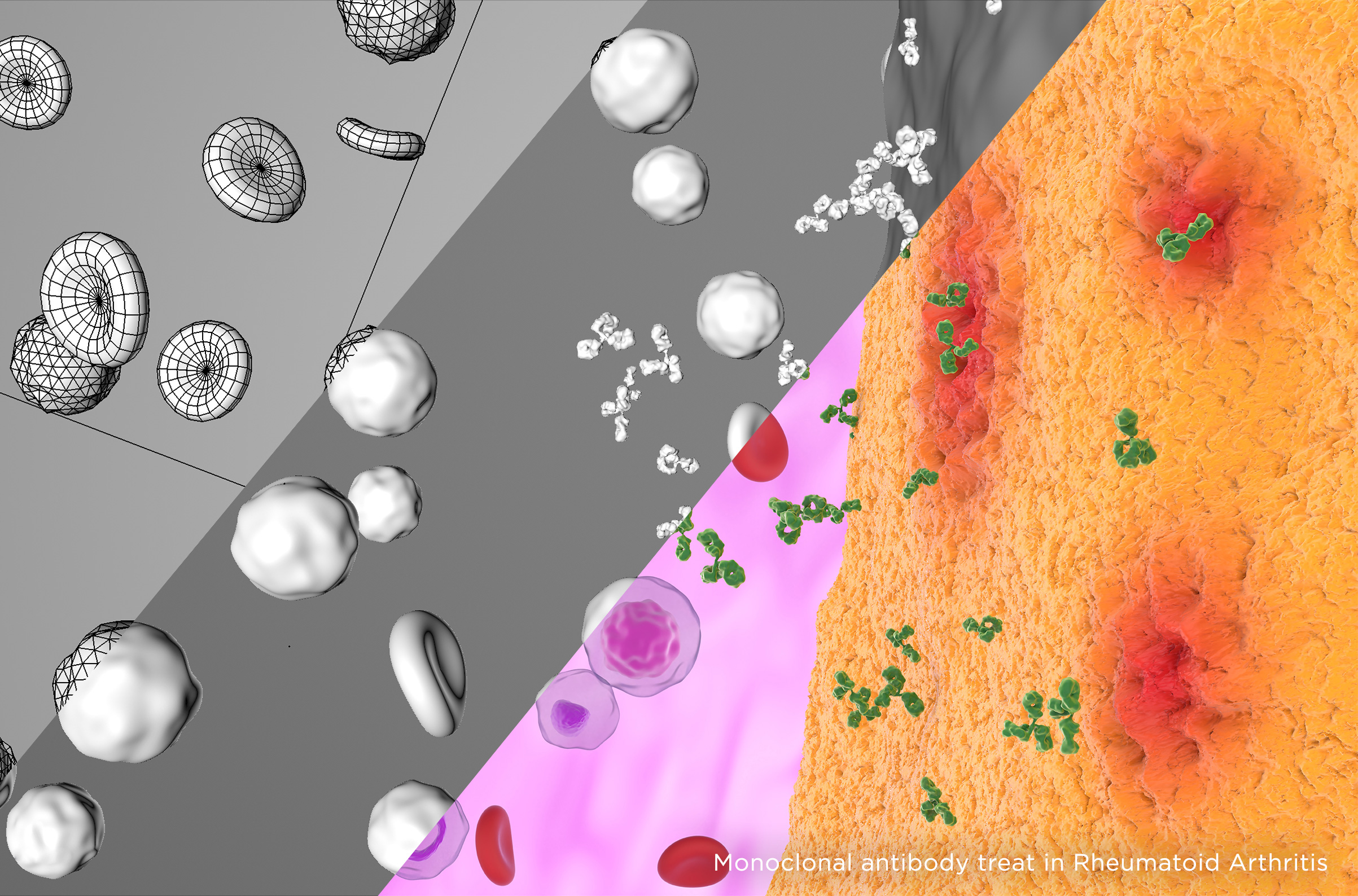 Orvosi illusztrációk